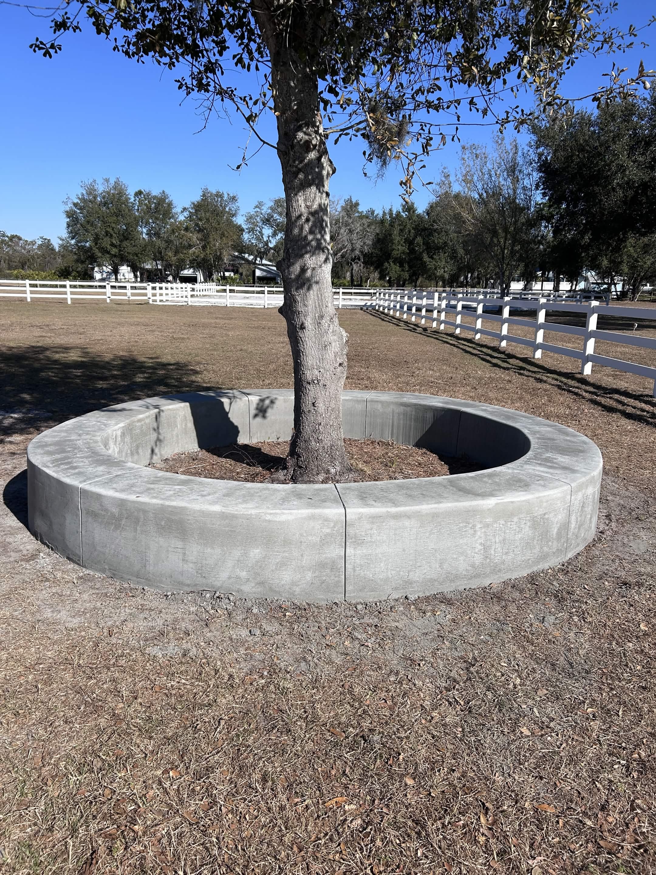 Concrete tree ring poured with ScandiCurb equipment in a landscaped commercial area